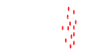 2 Szenariotechnik Dezentrum Schritt Projektionen Annahmen EN