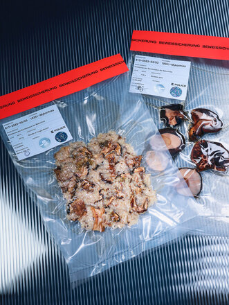 (Foto: Tobias Siebrecht)